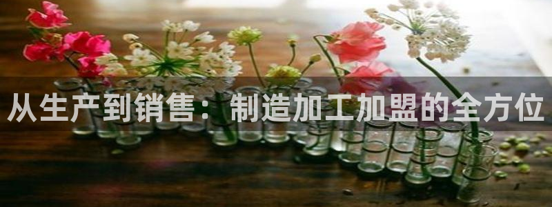 pg电子免费单机游戏