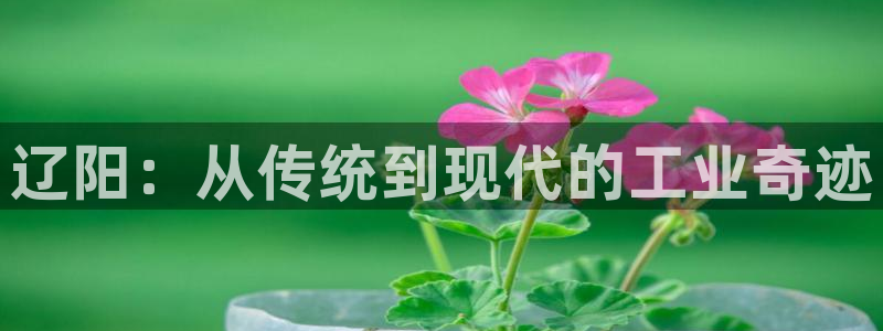 PG电子少林足球规则