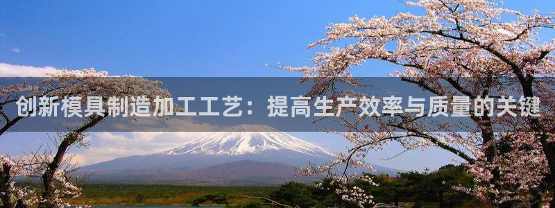 电子类pg是什么意思