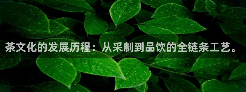 pg电子是谁开发的