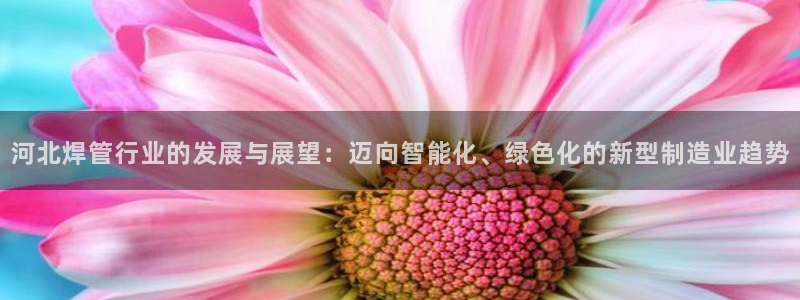凤凰传奇pg电子