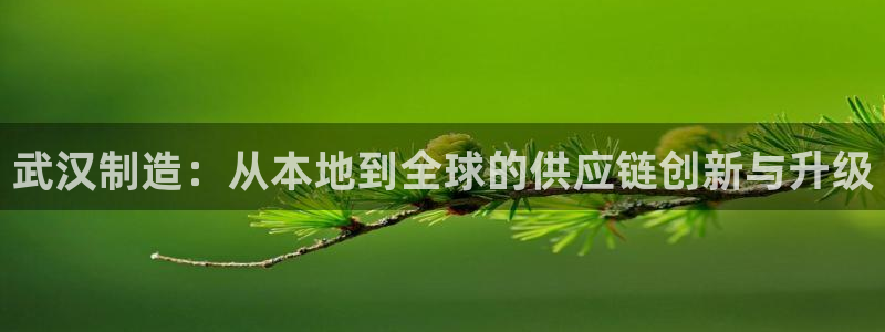 寻龙探宝pg电子