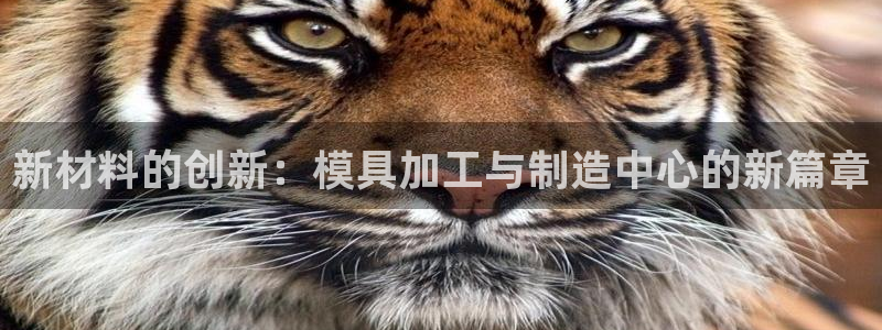 pg电子哪个平台靠谱