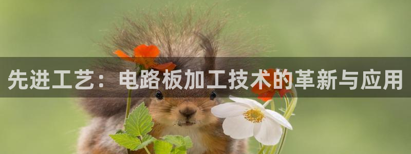 老外玩pg电子