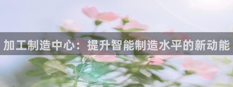 网络上的电子赌博PG
