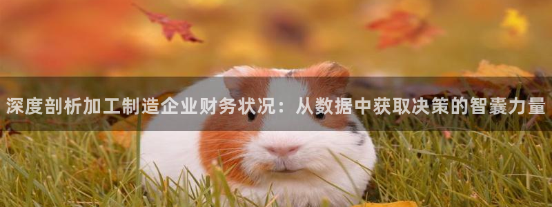 pg电子游艺大平台