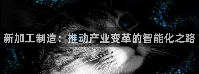 PG电子上岸技巧