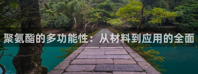 十年安全老品牌pg电子