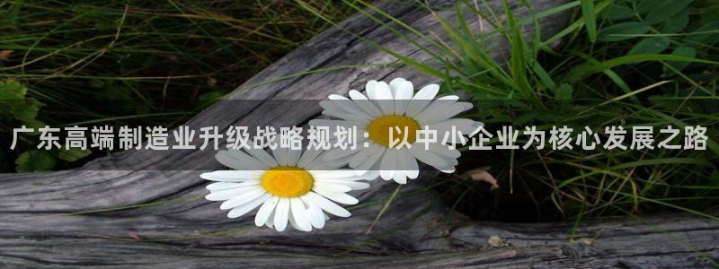 pg电子水果丛林