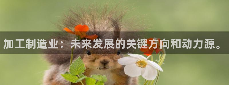 pg电子注单未返回