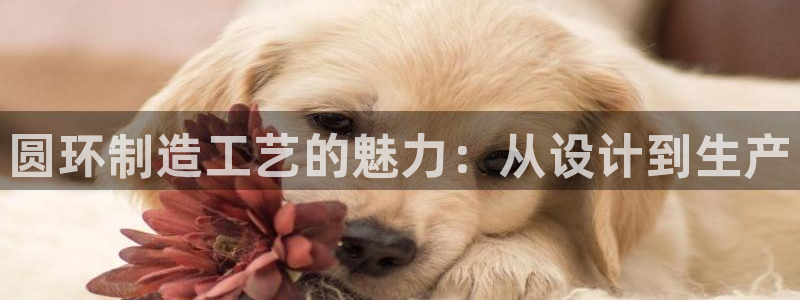 pg电子福运象财神