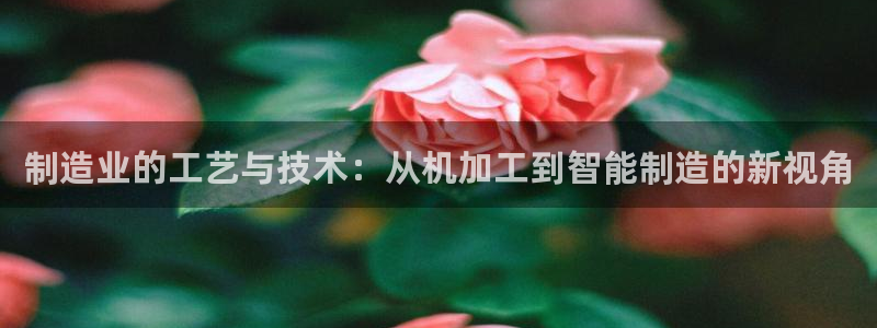 pg电子怎么天天输