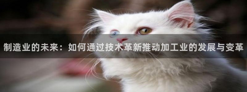 pg电子赏金女王攻略