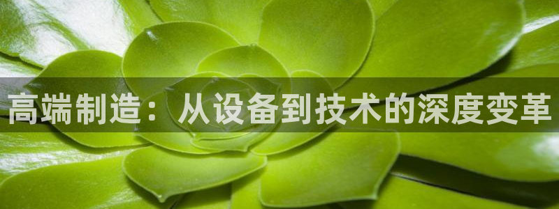 盛大娱乐pg电子游戏