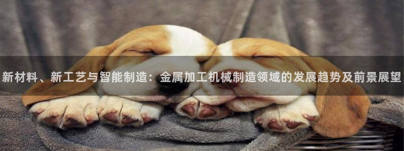 pg电子首页官方网站