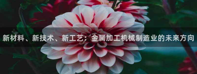 pg掉毛电子说明书