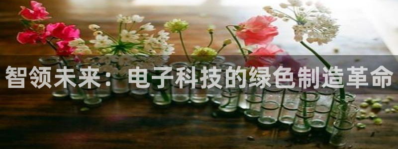 pg电子麻将胡了爆分