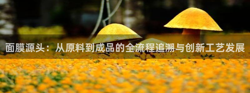 pg电子玩哪些游戏