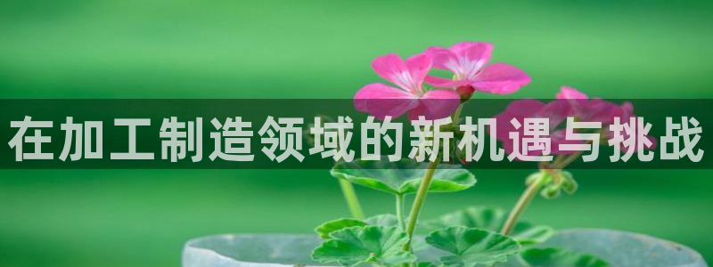 PG电子游戏怎么卡免费