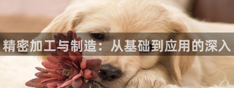 免费pg电子游戏下载