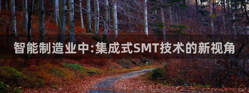 PG电子视频在哪看