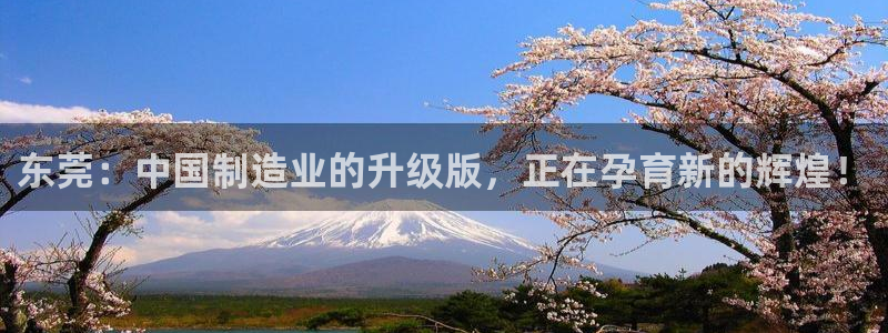 pg电子哪个好爆