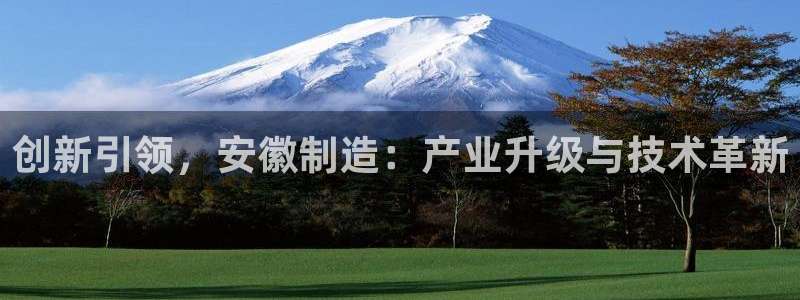 手机pg电子试玩版