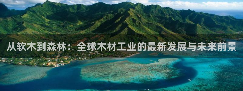 PG电子上岸技巧