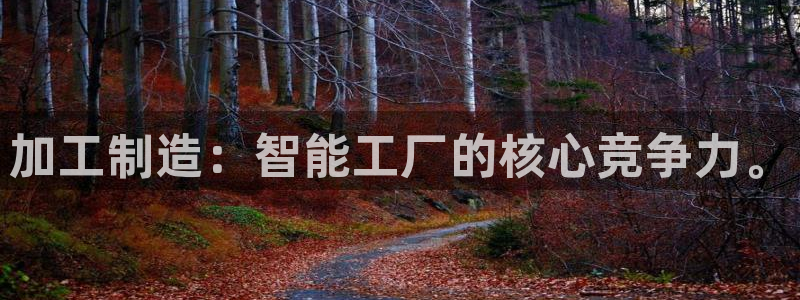 pg电子游戏维护多久