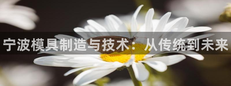 PG报丧说明书电子版