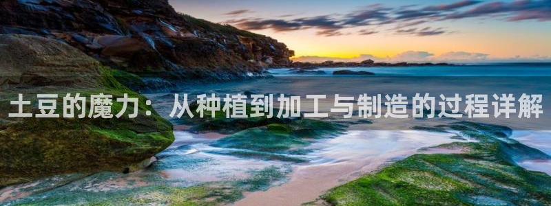 pg电子游艺大平台