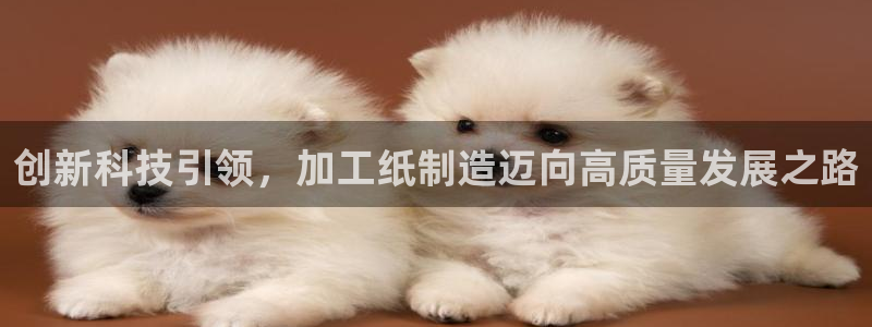 pg电子是局域网的吗