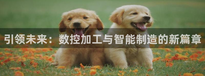 pg电子冰雪大冲关视频