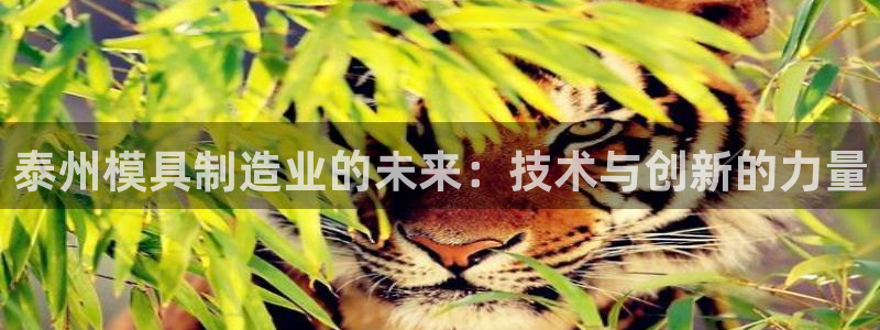 PG电子爆分辅助工具