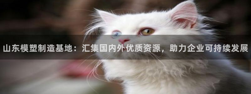 在哪能玩pg电子