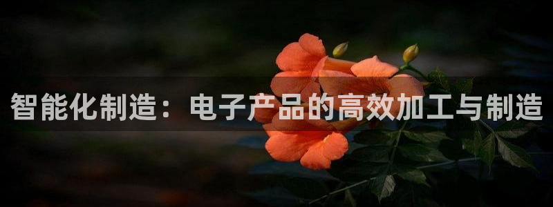 pg电子怎么天天输