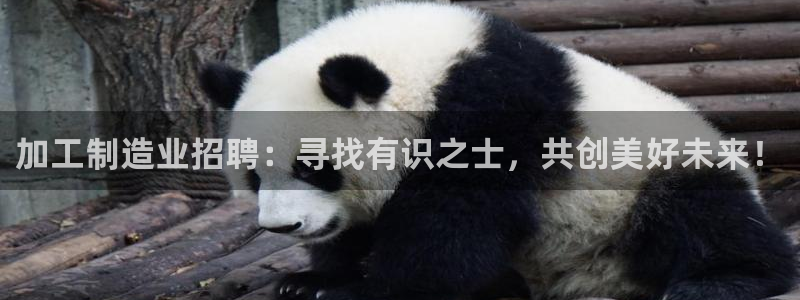 pg电子游戏直播平台