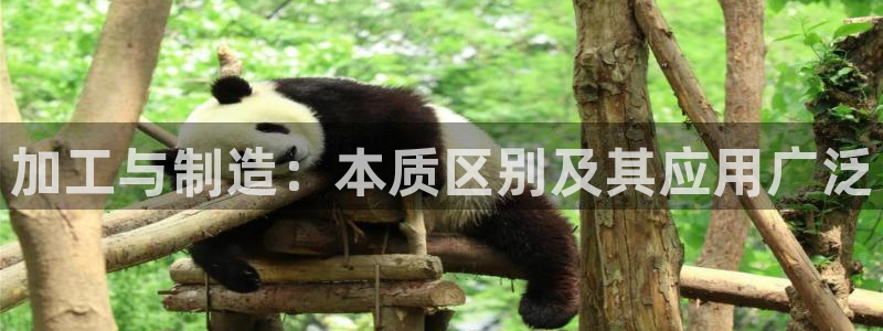 凤凰传奇pg电子