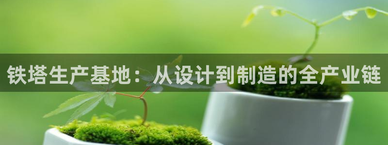 单机pg电子游戏