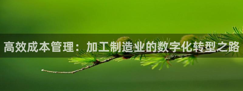 pg电子试玩网站