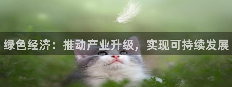 pg电子怎么赚钱