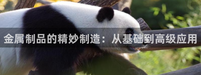 pg电子娱乐官网版