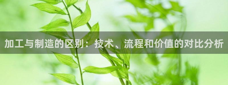 网页打不开Pg电子游戏