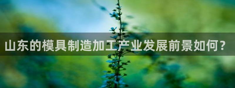 pg电子体验网站