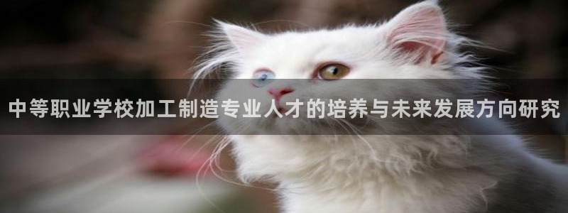 pg电子黄金寻宝城