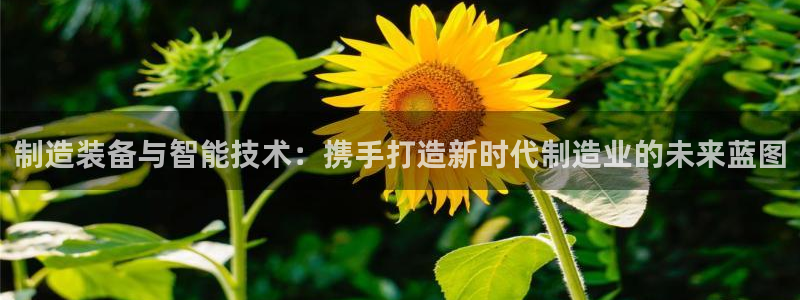 pg电子在线娱乐