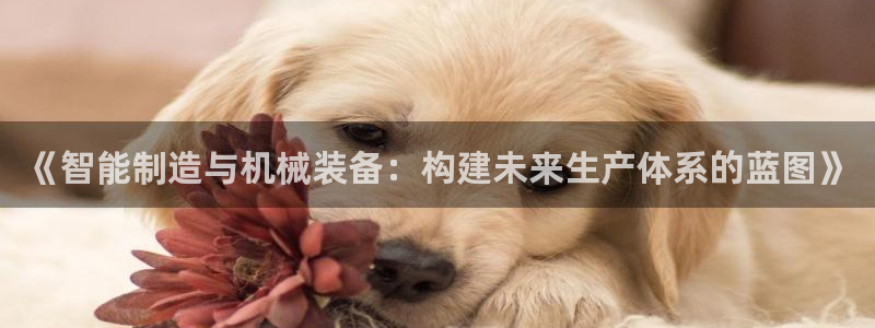 pg电子游戏国外官网