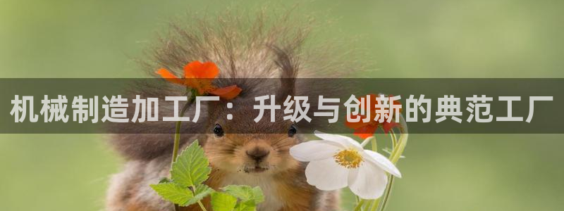 Pg电子不限区域平台
