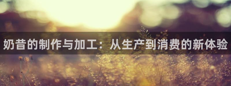 pg雪崩 电子说明书