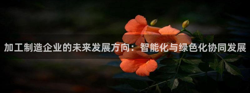 pg电子不凡成就非凡